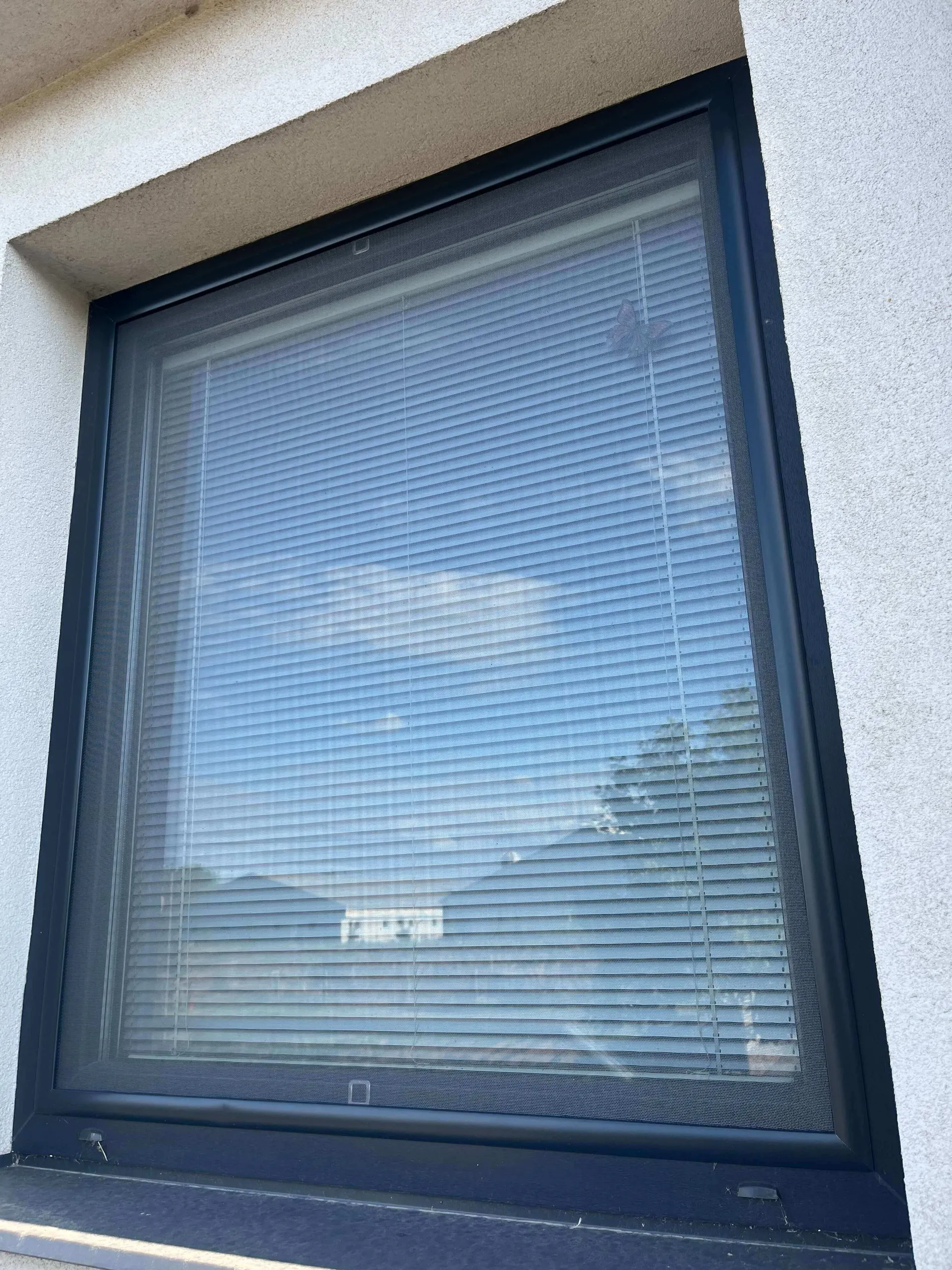 Pevné okenní sítě